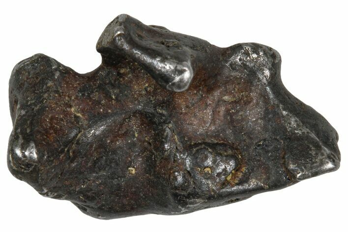 Sericho Pallasite Meteorite ( g) Metal Skeleton #383209